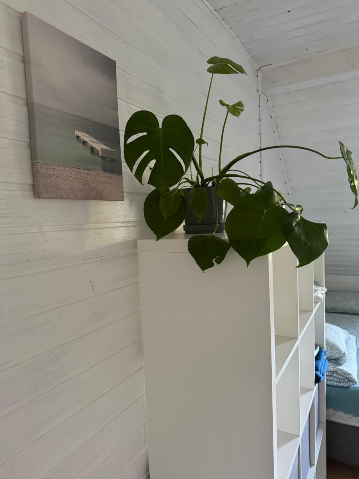 48C Domki Letniskowe I Apartament Pobierowo Exteriér fotografie