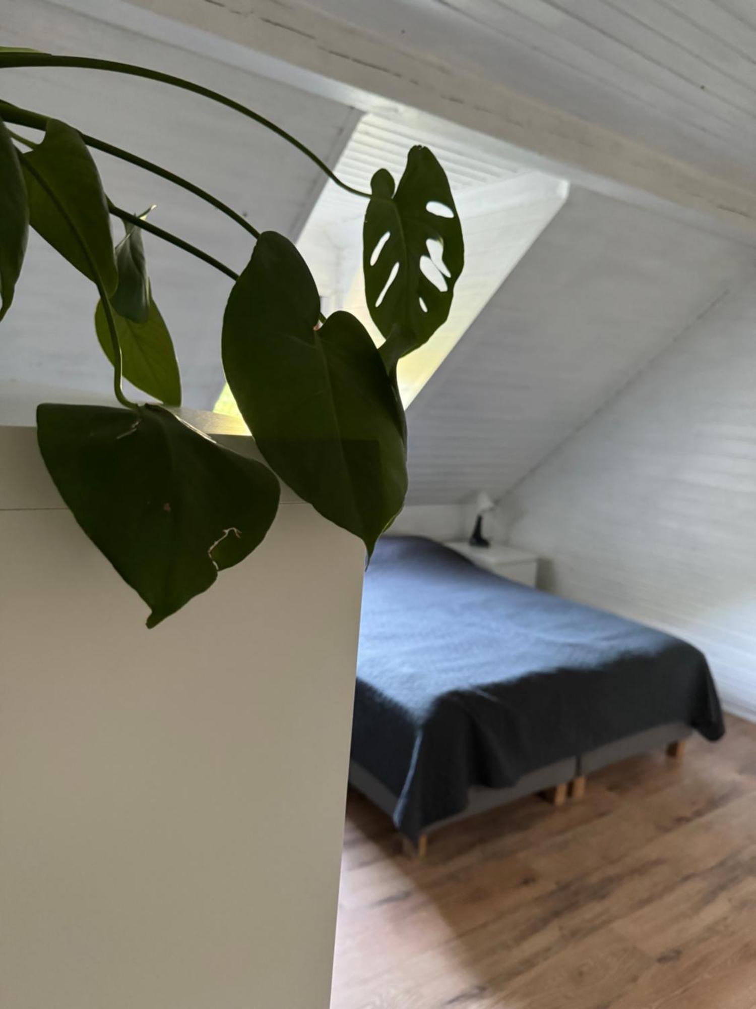 48C Domki Letniskowe I Apartament Pobierowo Exteriér fotografie